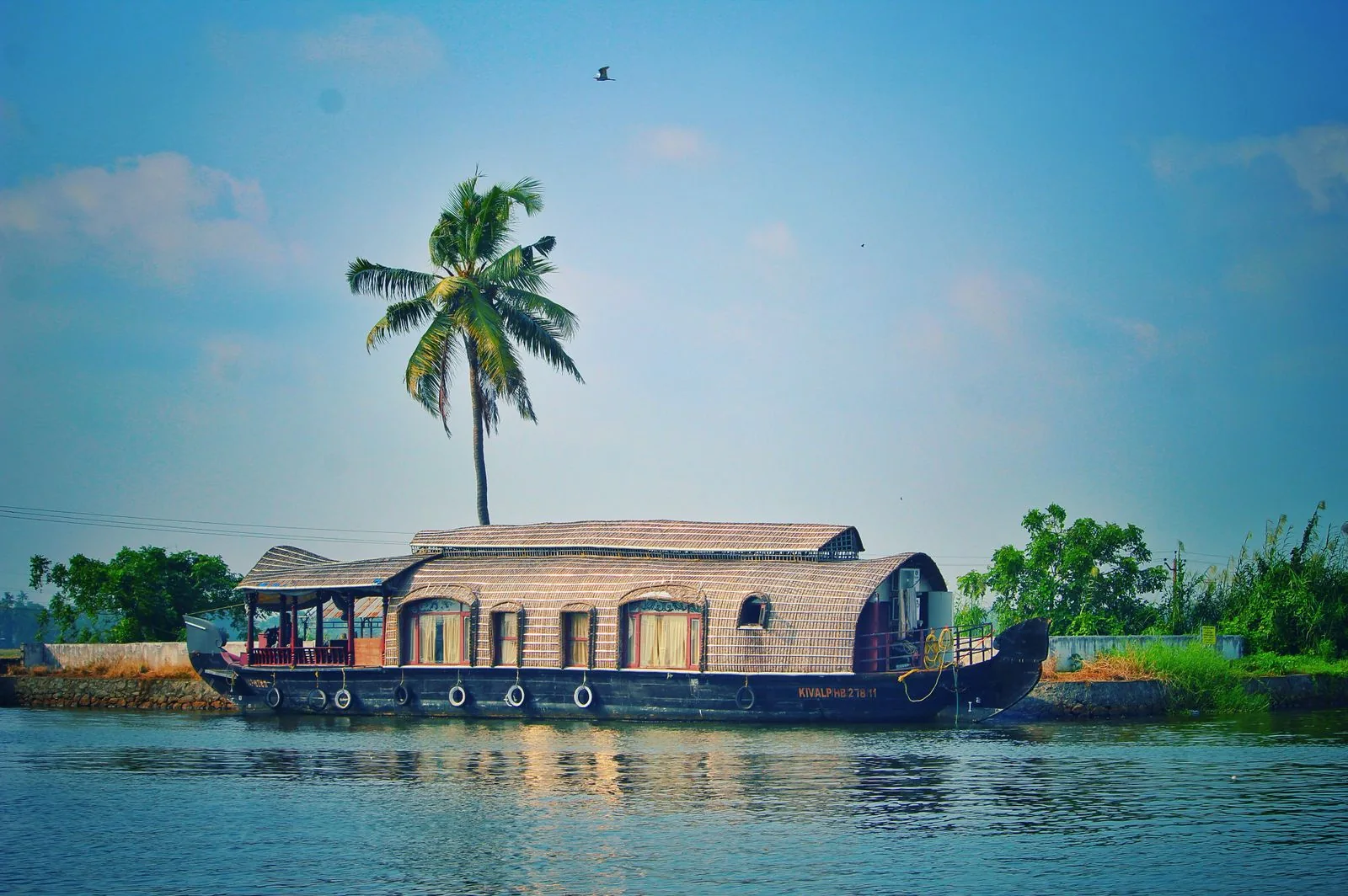 Real landscape photograph of Kerala backwaters and palm trees